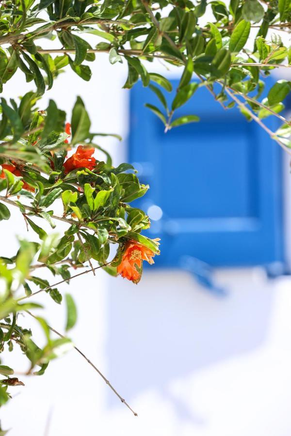 Mykonos In White Villa Mykonos Town ภายนอก รูปภาพ